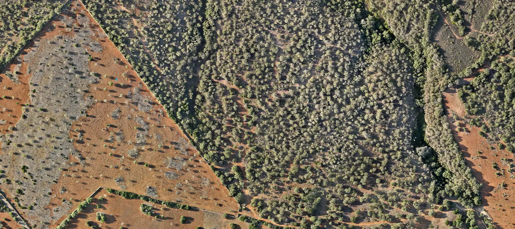 Fotogrametría - servicios de Air mapping mallorca