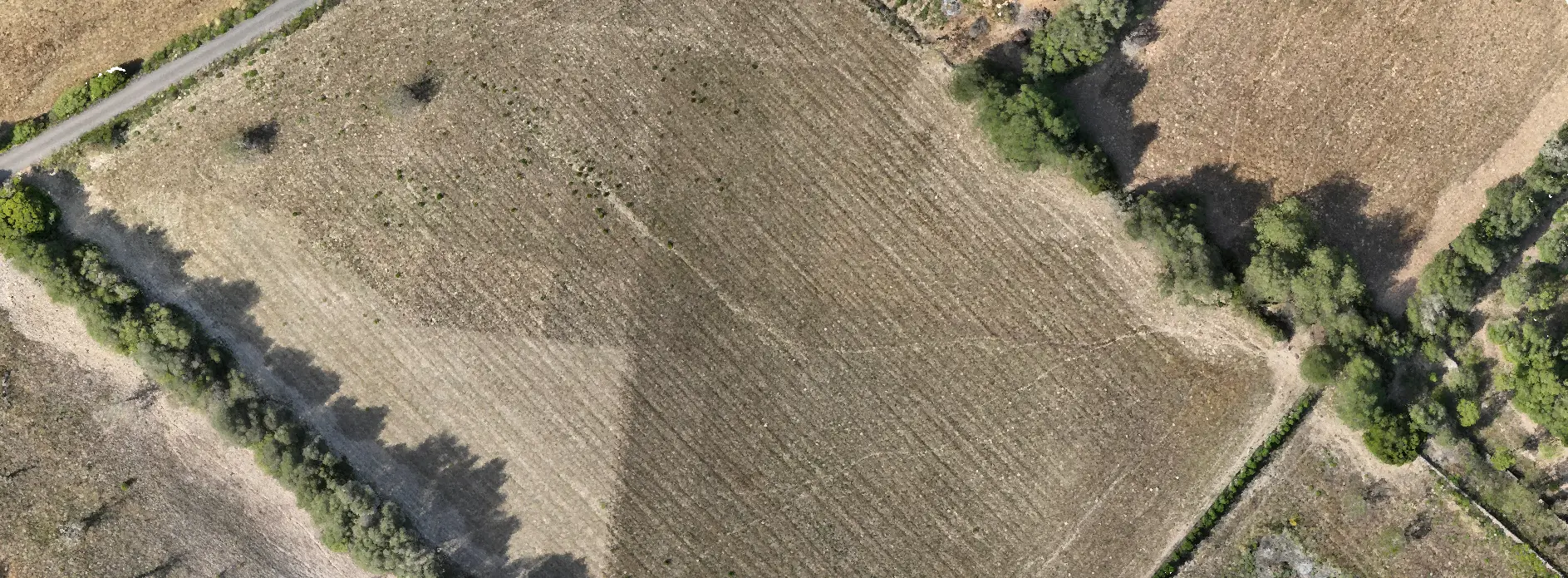 Nube de Puntos con Drones - air mapping